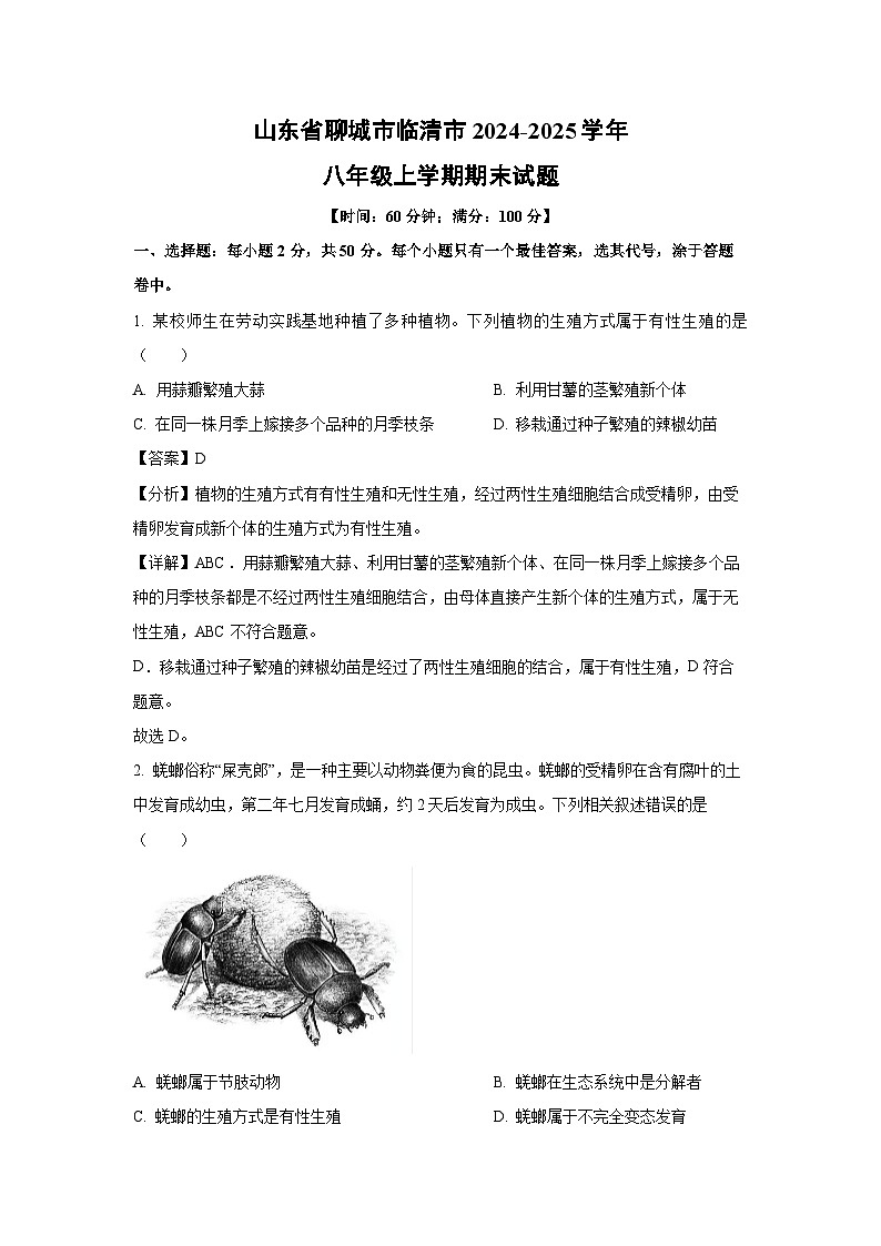 山东省聊城市临清市2024-2025学年八年级上学期期末生物试卷（解析版）第1页
