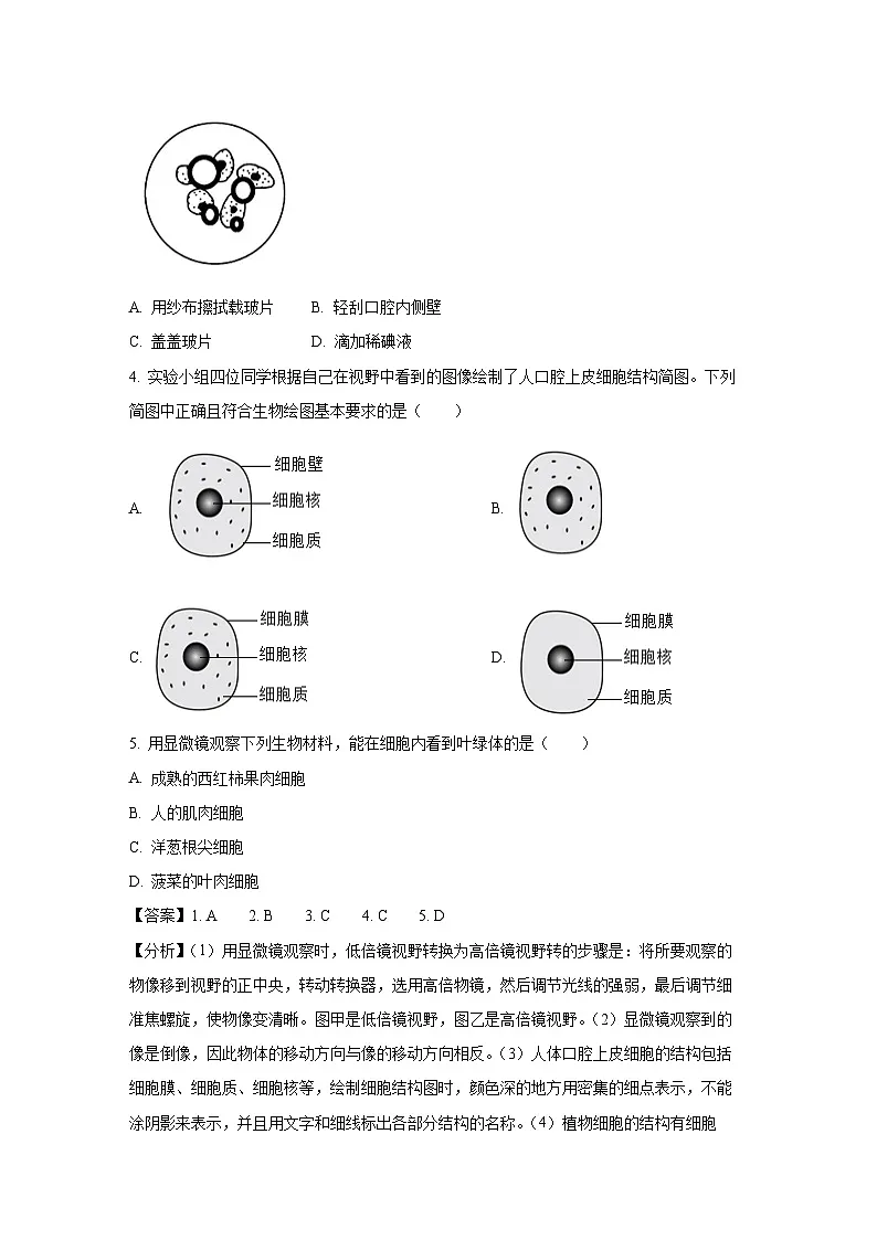 内蒙古赤峰市巴林左旗2024-2025学年七年级上学期期末生物试卷（解析版）第2页