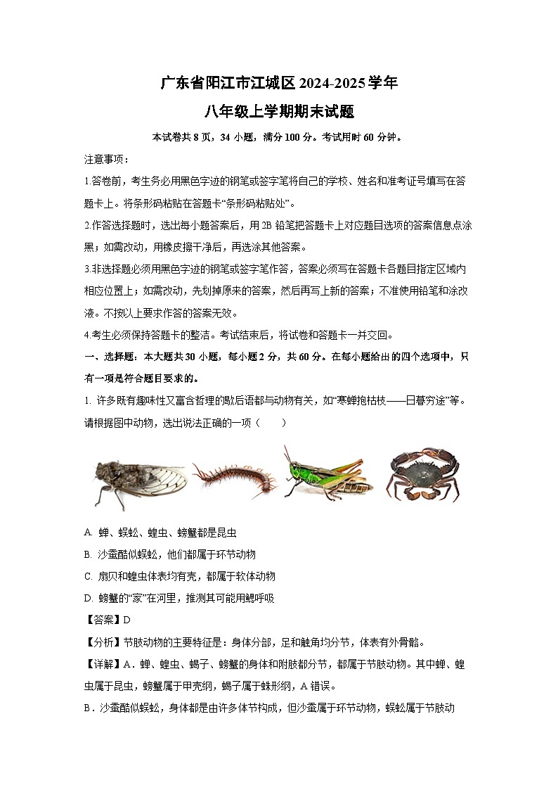 广东省阳江市江城区2024-2025学年八年级上学期期末生物试卷（解析版）第1页