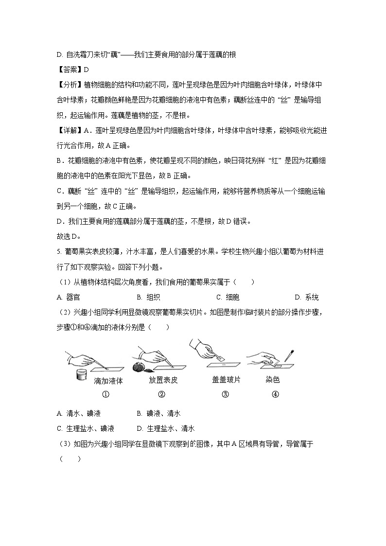 广东省潮州市潮安区2024-2025学年七年级上学期期末生物试卷（解析版）第3页