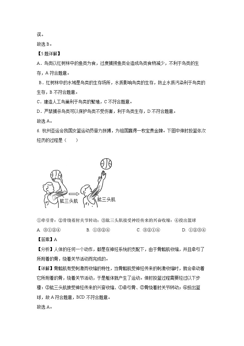 广东省湛江市麻章区2024-2025学年八年级上学期期末生物试卷（解析版）第3页