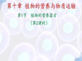 初中生物蘇教版（2024）七年級下冊4.10.1 植物的營養(yǎng)器官（第2-3課時） 課件