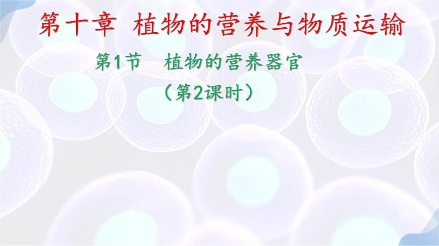 初中生物苏教版（2024）七年级下册4.10.1 植物的营养器官（第2-3课时） 课件第1页
