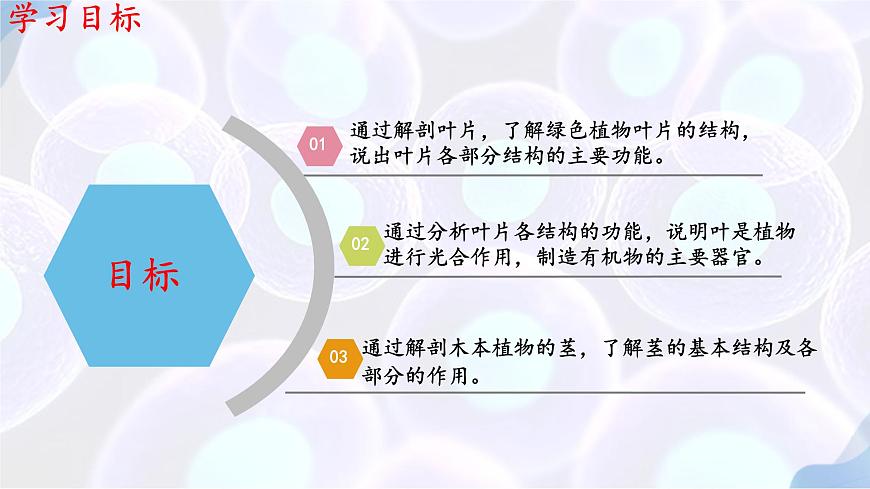 初中生物苏教版（2024）七年级下册4.10.1 植物的营养器官（第2-3课时） 课件第2页