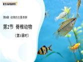 4.8.2 脊椎動物 第一課時 課件 生物蘇科版（2024）七年級下冊第四單元第八章