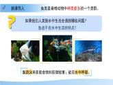 4.8.2 脊椎動物 第一課時 課件 生物蘇科版（2024）七年級下冊第四單元第八章