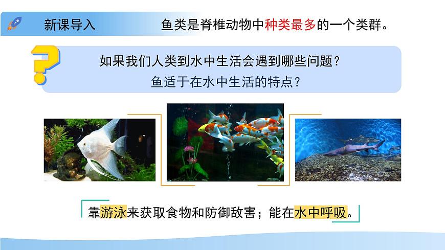 4.8.2 脊椎动物 第一课时 课件 生物苏科版（2024）七年级下册第四单元第八章第5页