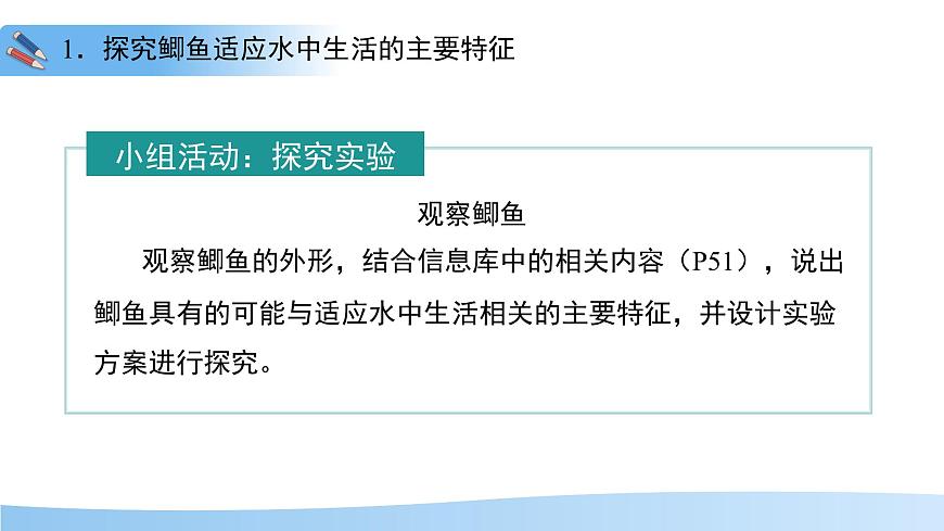 4.8.2 脊椎动物 第一课时 课件 生物苏科版（2024）七年级下册第四单元第八章第6页