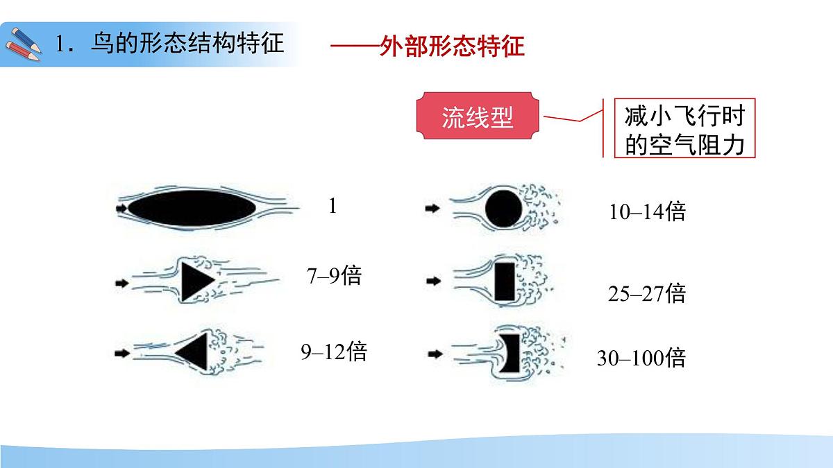 4.8.2 脊椎动物 第三课时 课件 生物苏科版（2024）七年级下册第四单元第八章第7页