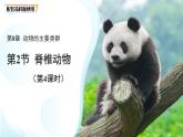 4.8.2 脊椎動物 第四課時 課件 生物蘇科版（2024）七年級下冊第四單元第八章