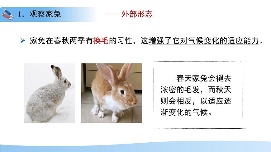 4.8.2 脊椎动物 第四课时 课件 生物苏科版（2024）七年级下册第四单元第八章第7页