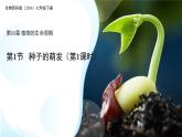 5.11.1 種子的萌發(fā) 第一課時(shí) 課件 生物蘇科版（2024）七年級(jí)下冊(cè)第五單元第十一章