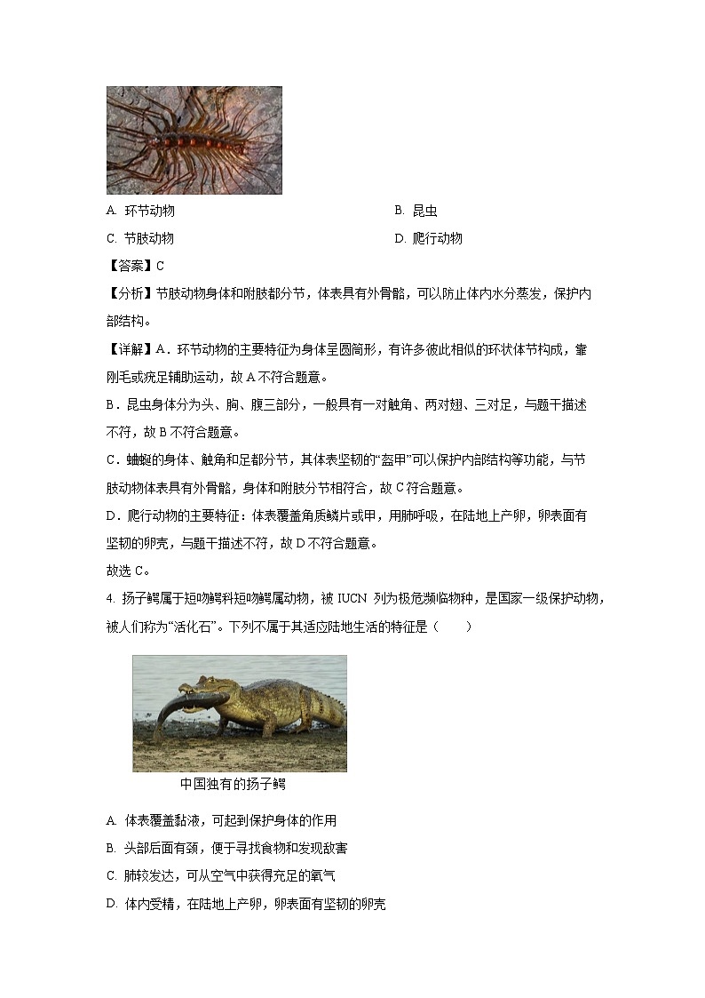 河南省南阳市新野县2024-2025学年八年级上学期期末生物试卷（解析版）第3页