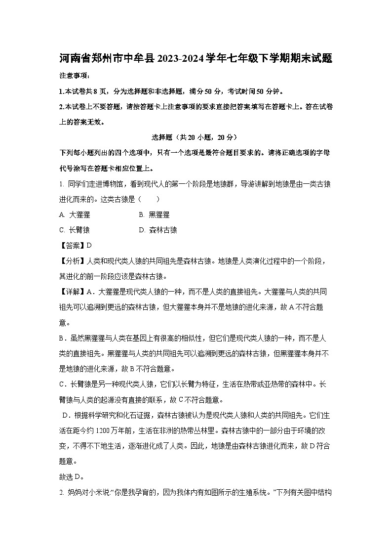 河南省郑州市中牟县2023-2024学年七年级下学期期末生物试卷（解析版）第1页
