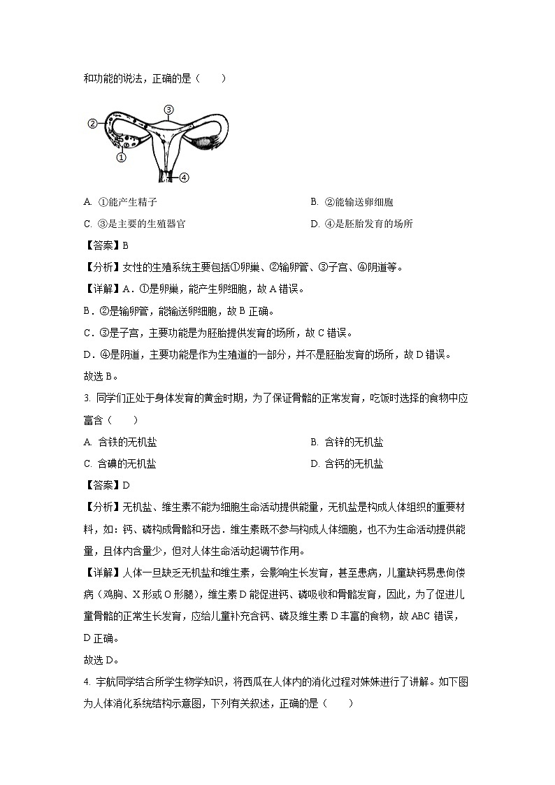 河南省郑州市中牟县2023-2024学年七年级下学期期末生物试卷（解析版）第2页