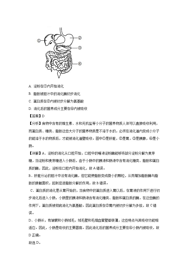 河南省郑州市中牟县2023-2024学年七年级下学期期末生物试卷（解析版）第3页