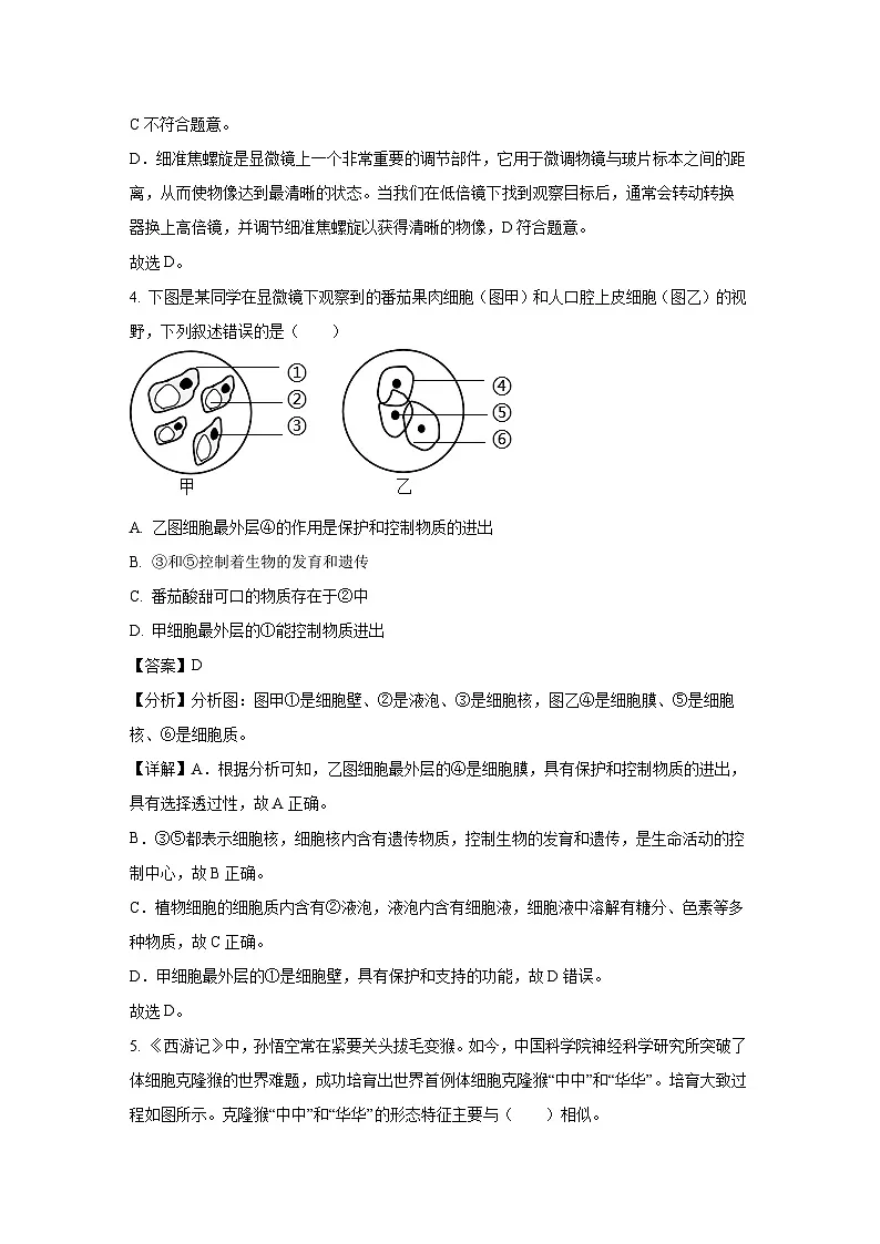 河南省漯河市召陵区2024-2025学年七年级上学期期末生物试卷（解析版）第3页