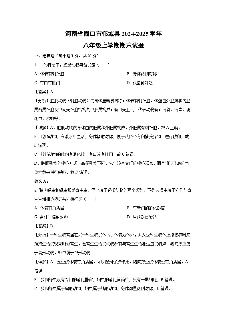 河南省周口市郸城县2024-2025学年八年级上学期期末生物试卷（解析版）第1页