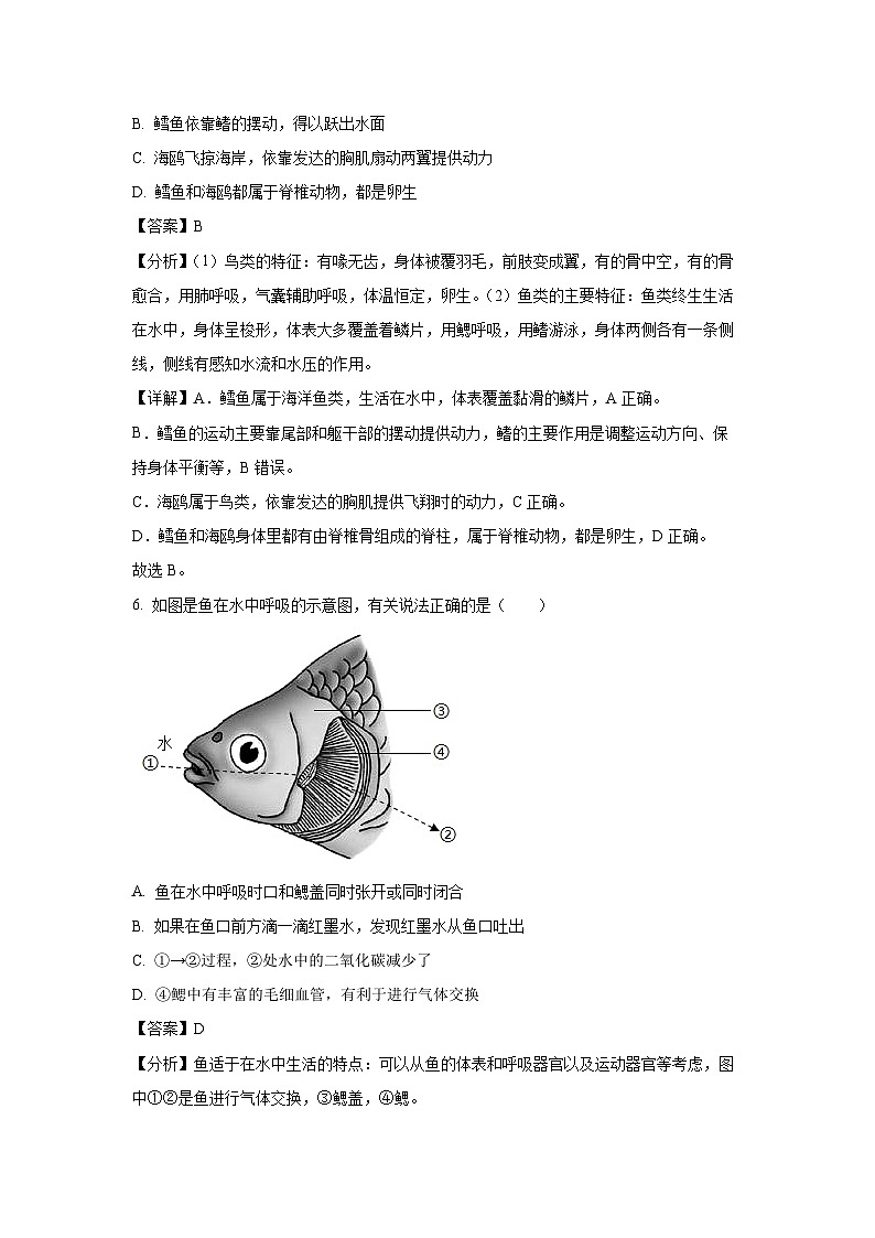 河南省信阳市商城县2024-2025学年八年级上学期期末生物试卷（解析版）第3页