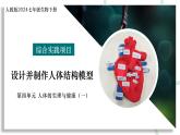 綜合實(shí)踐項(xiàng)目 設(shè)計(jì)并制作人體結(jié)構(gòu)模型（教學(xué)課件）-2024-2025學(xué)年七年級(jí)生物下冊(cè)（人教版2024）