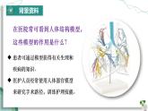綜合實(shí)踐項(xiàng)目 設(shè)計(jì)并制作人體結(jié)構(gòu)模型（教學(xué)課件）-2024-2025學(xué)年七年級(jí)生物下冊(cè)（人教版2024）