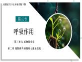 3.2.3 呼吸作用 課件 2025學(xué)年人教版生物七年級下冊