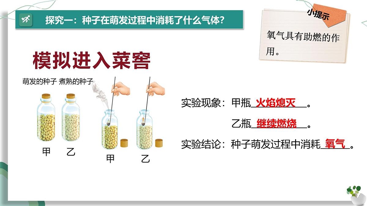 3.2.3 呼吸作用 课件 2025学年人教版生物七年级下册第5页