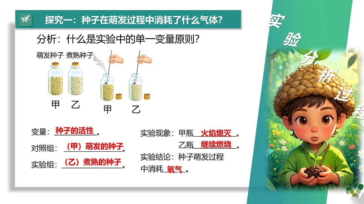 3.2.3 呼吸作用 课件 2025学年人教版生物七年级下册第6页
