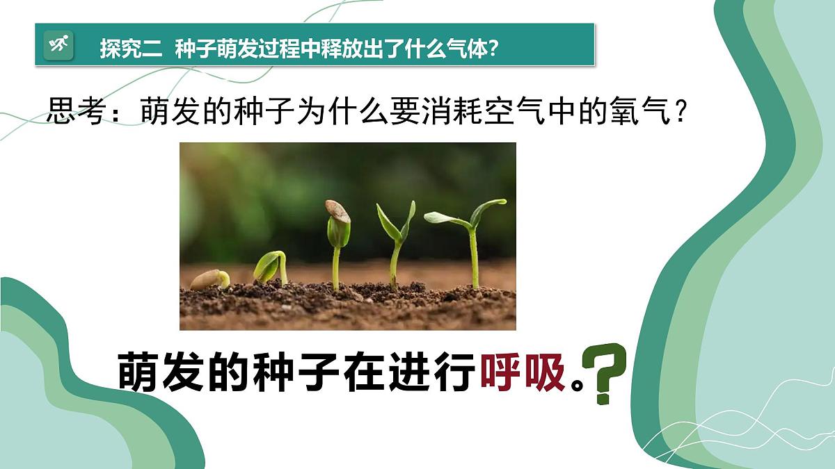 3.2.3 呼吸作用 课件 2025学年人教版生物七年级下册第7页