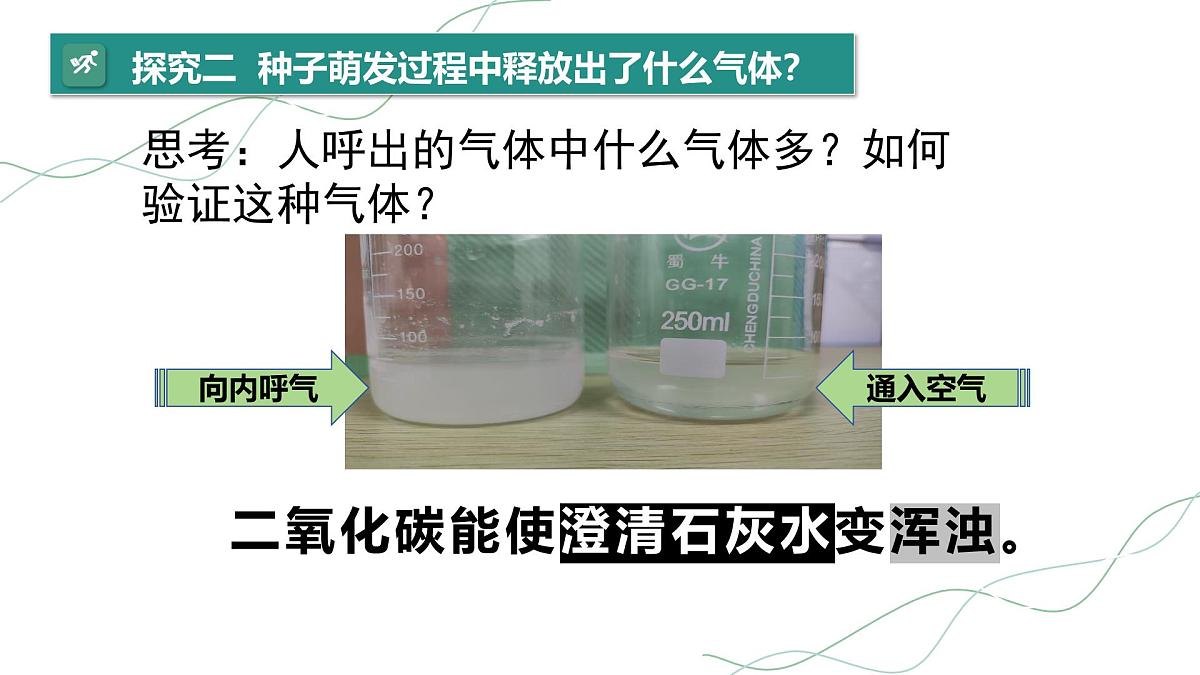 3.2.3 呼吸作用 课件 2025学年人教版生物七年级下册第8页