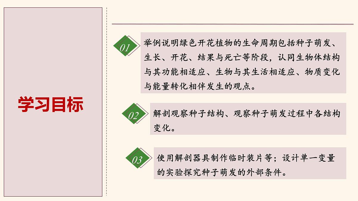 3.5.1 种子萌发形成幼苗（第1课时）课件 2025学年北师大版生物七年级上册第2页