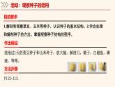 3.5.1 種子萌發(fā)形成幼苗（第1課時）課件 2025學(xué)年北師大版生物七年級上冊