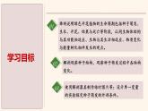 3.5.1 種子萌發(fā)形成幼苗（第2課時）課件 2025學(xué)年北師大版生物七年級上冊