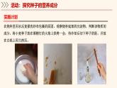 3.5.1 種子萌發(fā)形成幼苗（第2課時）課件 2025學(xué)年北師大版生物七年級上冊