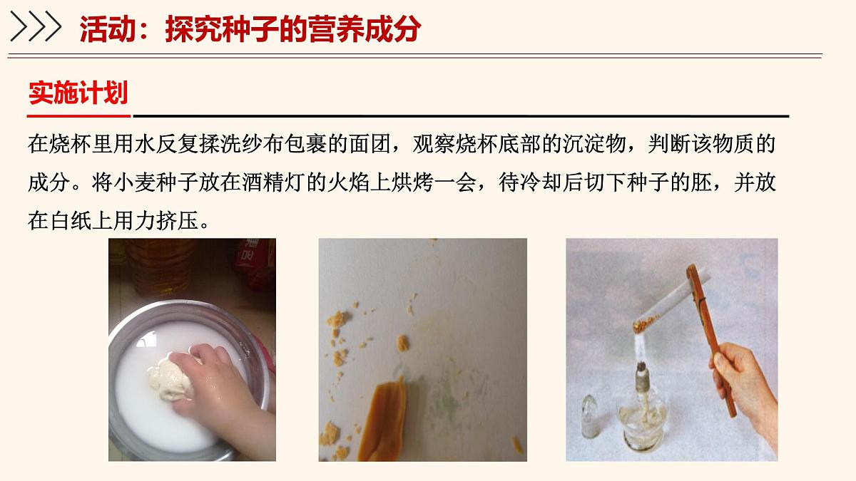 3.5.1 种子萌发形成幼苗（第2课时）课件 2025学年北师大版生物七年级上册第5页