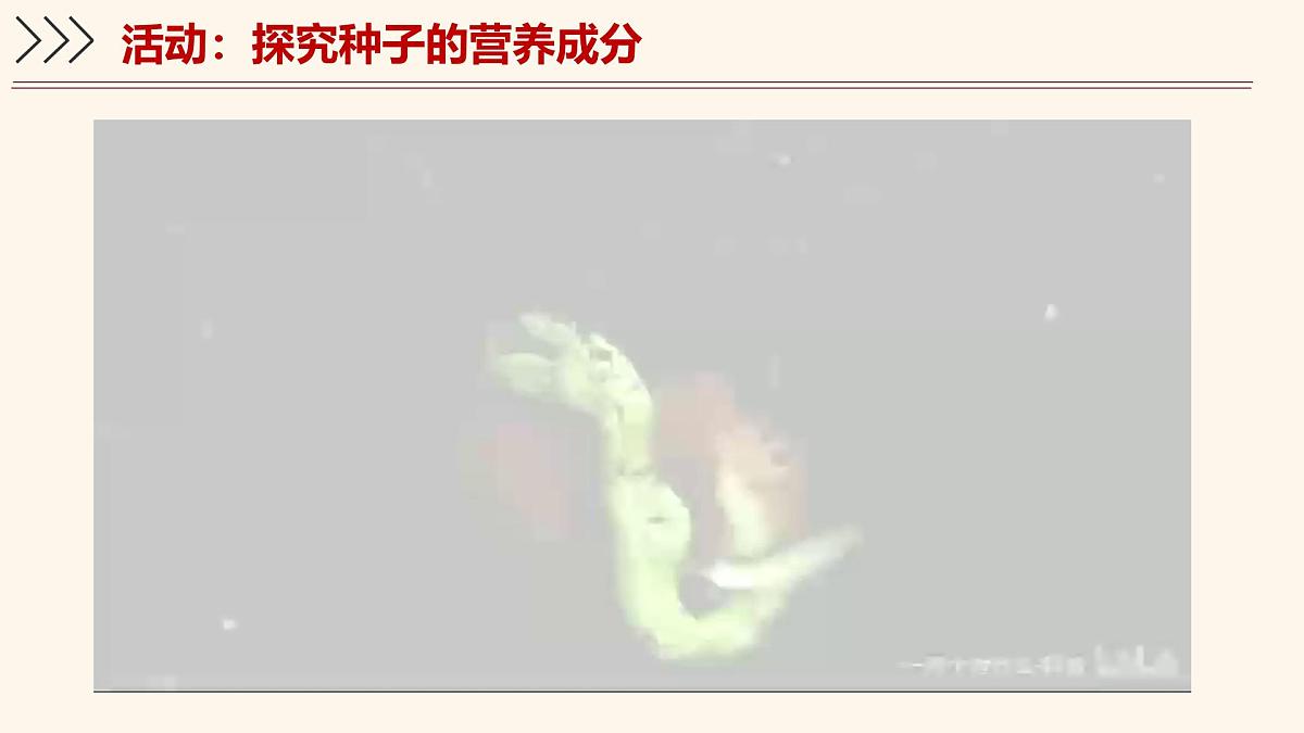 3.5.1 种子萌发形成幼苗（第2课时）课件 2025学年北师大版生物七年级上册第6页