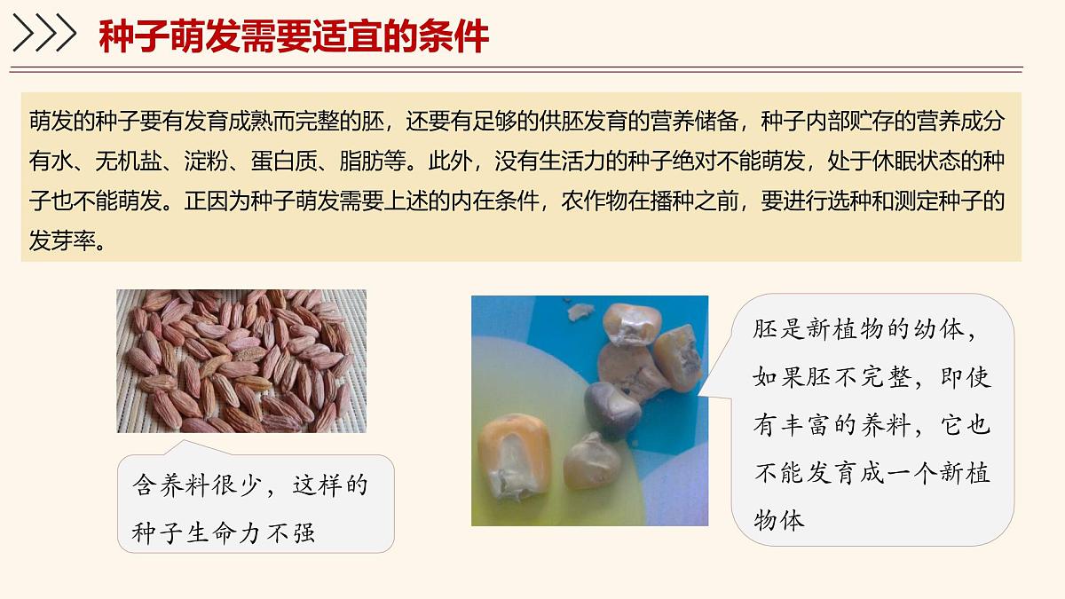 3.5.1 种子萌发形成幼苗（第2课时）课件 2025学年北师大版生物七年级上册第8页