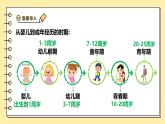 4.1.2 青春期 課件 2025學(xué)年人教版生物七年級下冊