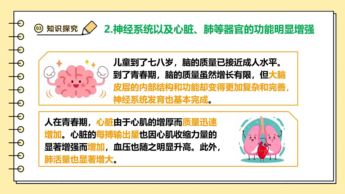 4.1.2 青春期 课件 2025学年人教版生物七年级下册第8页
