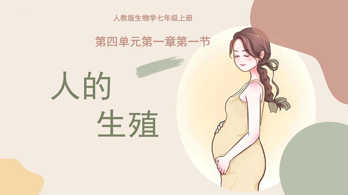 4.1.1 人的生殖 课件 2025学年人教版生物七年级下册第1页