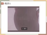 4.1.1 人的生殖 課件 2025學(xué)年人教版生物七年級下冊