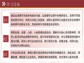 3.2 循環(huán)系統(tǒng)與物質(zhì)運輸 復(fù)習(xí)課件 2025學(xué)年冀少版生物七年級下冊