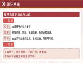 3.2 循環(huán)系統(tǒng)與物質(zhì)運輸 復(fù)習(xí)課件 2025學(xué)年冀少版生物七年級下冊