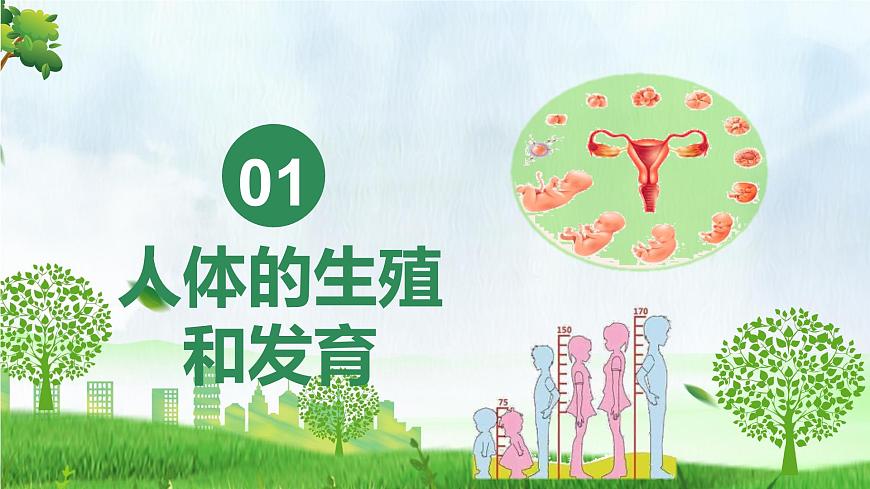 第四单元 人体生理与健康（单元复习课件）-2024-2025学年七年级生物下册（人教版2024）第3页