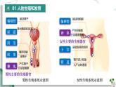 第四單元 人體生理與健康（一）（復習課件）-2024-2025學年七年級生物下冊（人教版2024）