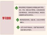 5.3 生殖器官的生長(zhǎng) 課件-2024-2025學(xué)年北師大版生物七年級(jí)上冊(cè)