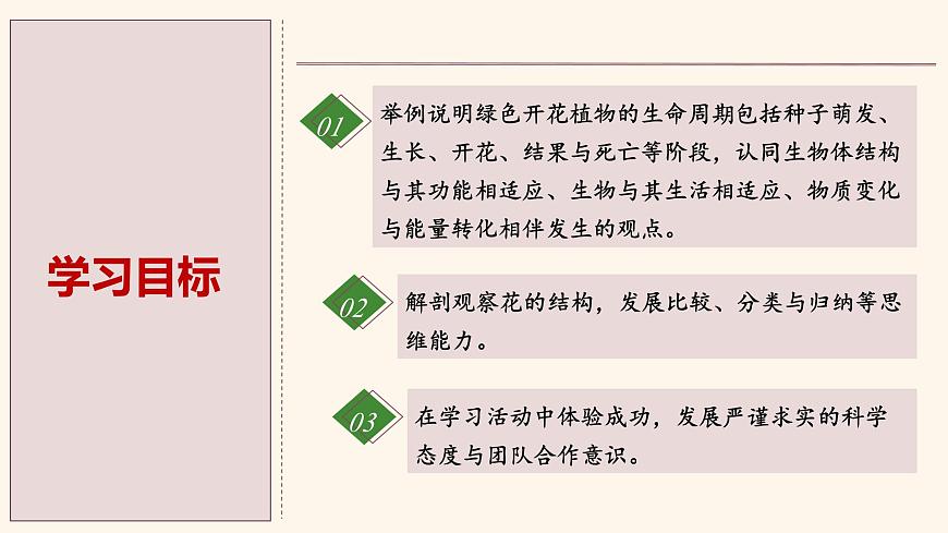 5.3 生殖器官的生长 课件-2024-2025学年北师大版生物七年级上册第2页
