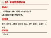 5.3 生殖器官的生長(zhǎng) 課件-2024-2025學(xué)年北師大版生物七年級(jí)上冊(cè)