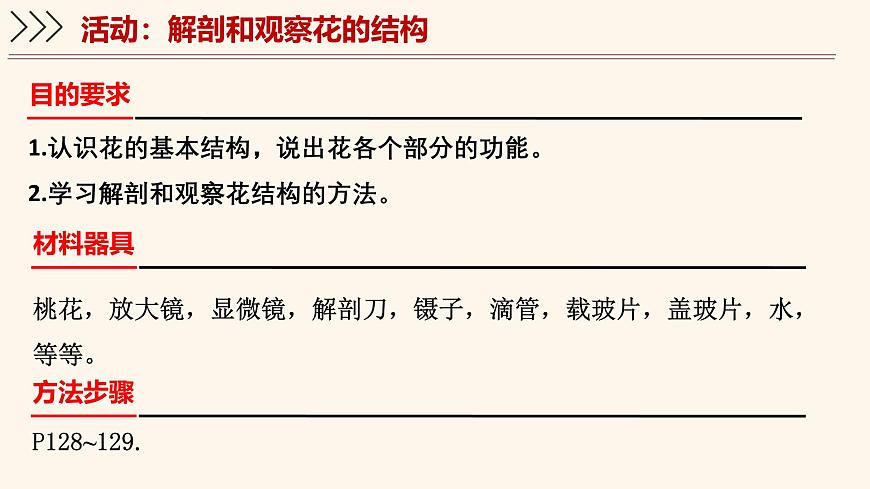 5.3 生殖器官的生长 课件-2024-2025学年北师大版生物七年级上册第4页