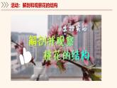 5.3 生殖器官的生長(zhǎng) 課件-2024-2025學(xué)年北師大版生物七年級(jí)上冊(cè)